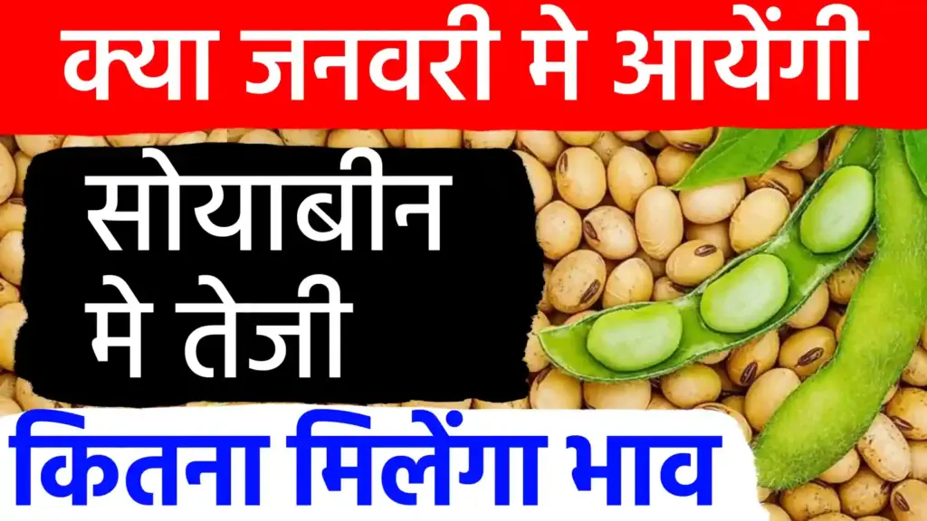 सोयाबीन की कीमतों में जनवरी से आ सकती है तेजी! रुपए की गिरावट और आयात नीति का बाजार पर दिखेगा बड़ा असर