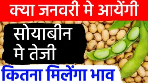 सोयाबीन की कीमतों में जनवरी से आ सकती है तेजी! रुपए की गिरावट और आयात