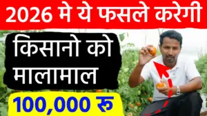 2026 में मालामाल करेंगी ये 10 फसलें: एक एकड़ से 15 लाख रुपये तक कमाने